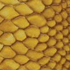 yellow reptile print leather